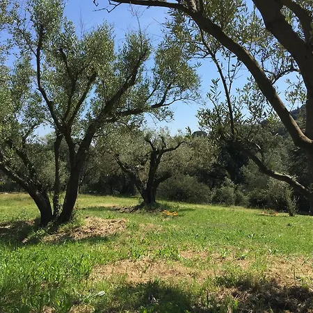 Domaine Du Mas De Peyres *