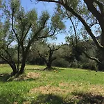 Domaine Du Mas De Peyres *