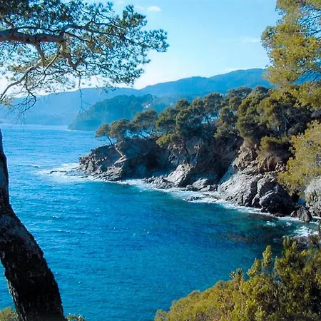 Domaine Du Mas De Peyres Cavalaire-sur-Mer