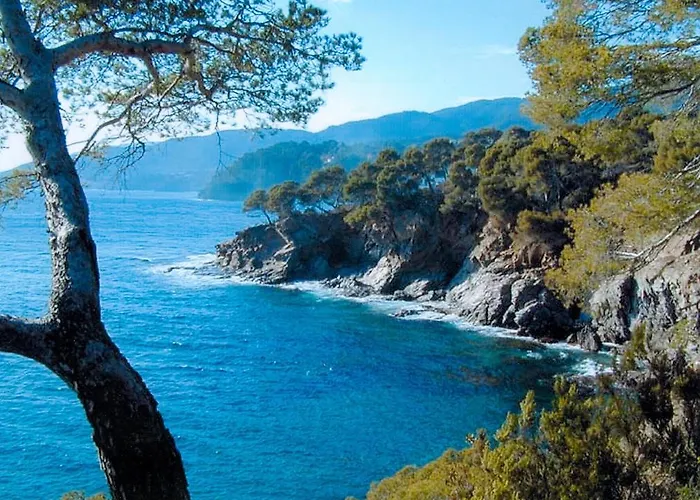 Domaine Du Mas De Peyres Cavalaire-sur-Mer