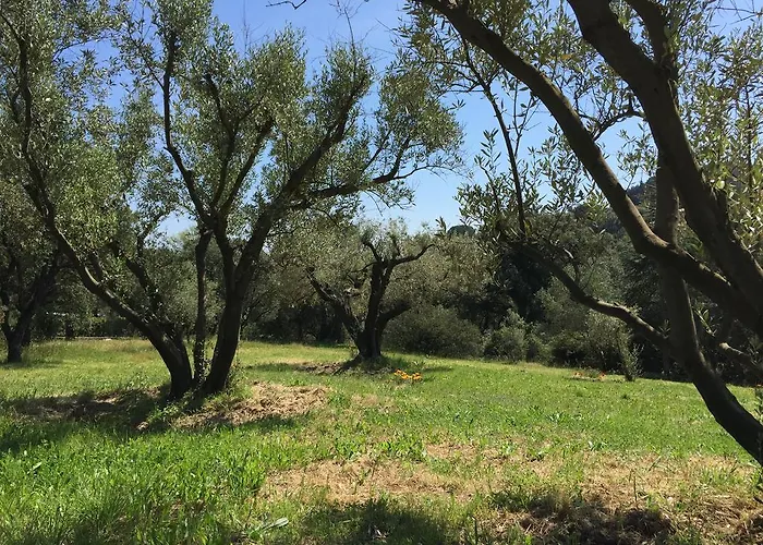 Domaine Du Mas De Peyres *